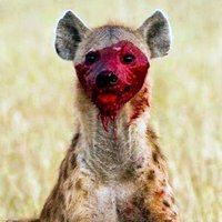 Mike (@mike_kutola) 's Twitter Profile Photo Mike (@mike_kutola) 's Twitter Profile Photo