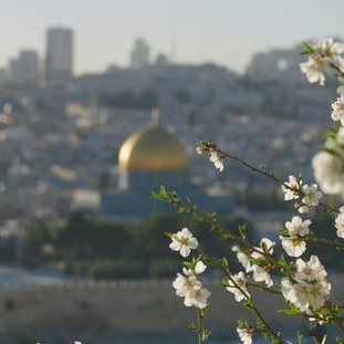 تاريخ ولمحات من القدس الشريف
History and all things Jerusalem