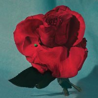 METZtheband (@metztheband) 's Twitter Profile