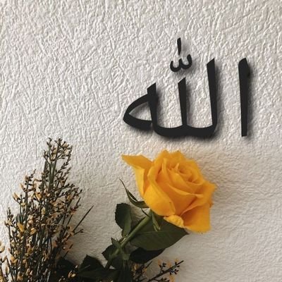 🌸🌸Alhamdulilah🌸🌸
🌸🌸ya Allah we can't thanks you enough
your blessing are uncountable 🌸🌸