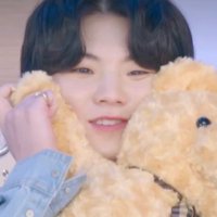 🧸woozi loving hours🧸 (@wooziwinks) 's Twitter Profile
