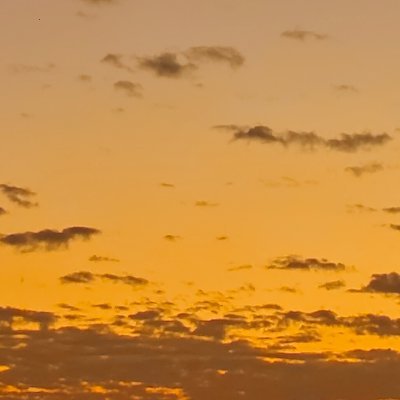 lxincheng92661's profile picture. 
