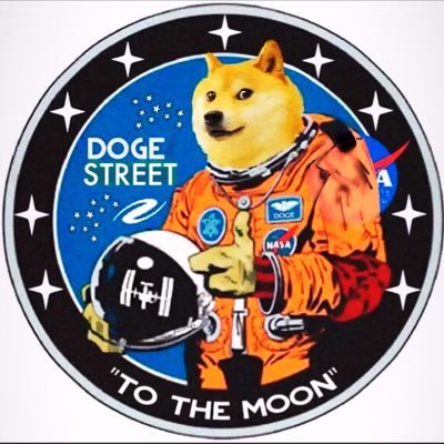 #Dogecoin enthusiast / to-the-moon🚀🌝🏄‍♂️🌊. I’M HOLDING MY DOGE! 📈=,s 💎🤙🏼. …🚑…. ……..Not a financial advisor Justa #HODL’r