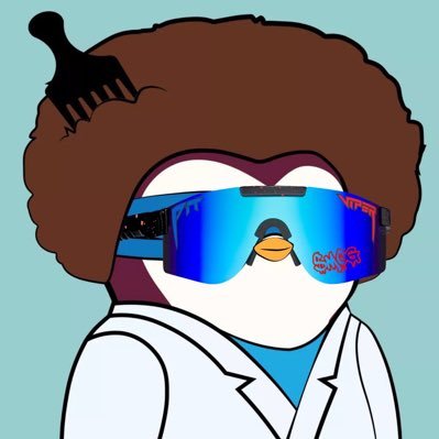 ShahOfSol Profile Picture