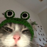 𝓙 (@jmmalgd) 's Twitter Profile