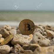 freecripto77's profile picture. 