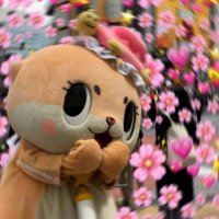 Chiitan ⭐️ (@chiitancoin) 's Twitter Profile Photo Chiitan ⭐️ (@chiitancoin) 's Twitter Profile Photo