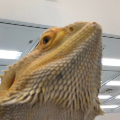 🐚゛さんのプロフィール画像