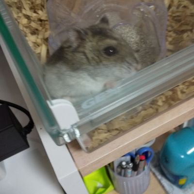 QOlruaIdQ7Zb6Dw's profile picture. 