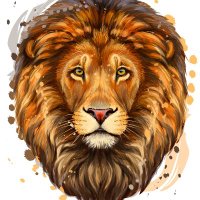 Lionceaux 🇫🇷 ⭐️⭐️(@_Lionceaux_) 's Twitter Profile Photo