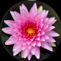 TINCHI (@aartim18) 's Twitter Profile Photo TINCHI (@aartim18) 's Twitter Profile Photo
