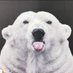 Momma Bear (@mommabear812) Twitter profile photo Momma Bear (@mommabear812) Twitter profile photo