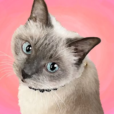 ハンドメイドの猫の首輪を販売しています。現在はWebデザインに挑戦中。
お仕事の依頼もご相談ください🎵