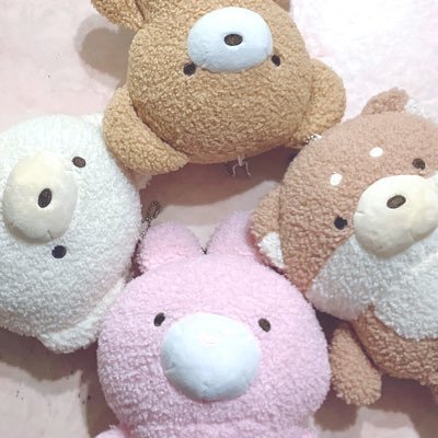 NI1954024756031's profile picture. 坂道好きです💞 沢山お友達欲しい~！      TU/政経/政