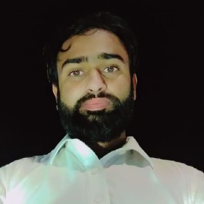 Malik Hamza Ali Awan