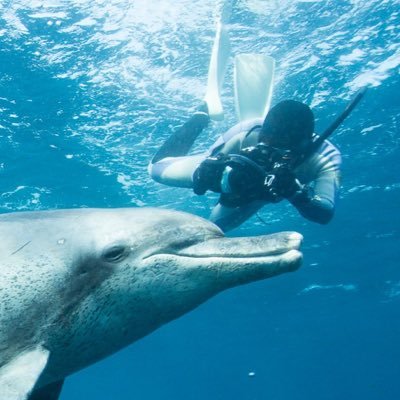 写真、カメラ機材アカウント。ネイチャー好き。海、鳥、星と、金のかかることはちょっとやってみた。でも結局旅費が1番金かかるよね…。Z8導入を期にアカウントスタート。 #真王国民　ふぁらきんの方を見かけたらフォローしまくってます。無言すみません。