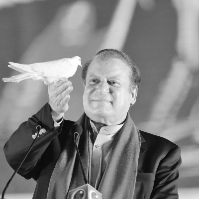 hakeemsab74's profile picture. PML N
JUST NOONI
PML N