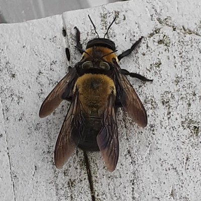 glosser0501's profile picture. 