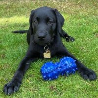 Joe Dryland (@mrd_ht) 's Twitter Profile
