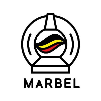 MaRBEL brings the Belgian MR Research landscape to the forefront by connecting MRI researchers, facilitating sharing of expertise, and stimulating collaboration