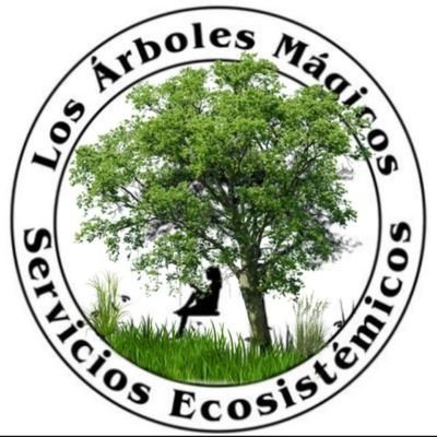 arboles_magicos Profile Picture