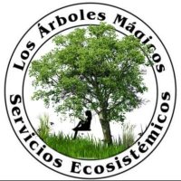 Los Árboles Mágicos ®️, (by Oscar Gaitan)(@arboles_magicos) 's Twitter Profile Photo