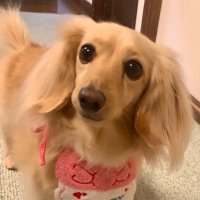 Mikiya Saeki (@knnbt667) 's Twitter Profile Photo Mikiya Saeki (@knnbt667) 's Twitter Profile Photo