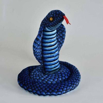 shariffkaps2's profile picture. Muslim