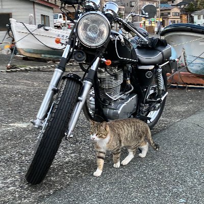 ironikaadeu's profile picture. Ruby・Ruby on Railsが好きな人。