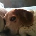 mark sackett - @SackettMark - Twitter