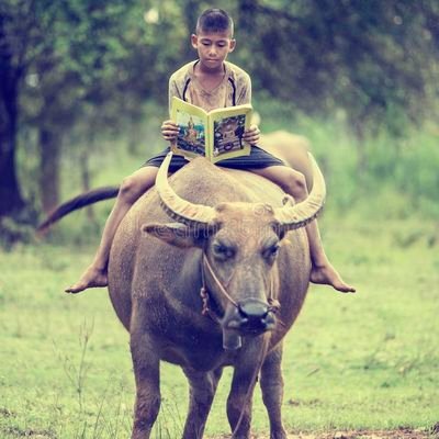 असभ्य।। गुआर।। सामाजवादी प्रशंसक।। विशुद्ध देहाती।।
और बताने के लिए कुछ ख़ास नहीं हैं.....✍️
🖤 ✨ 🤍