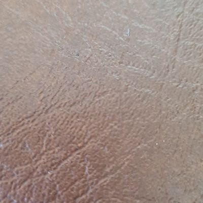 BloemGay73's profile picture. 