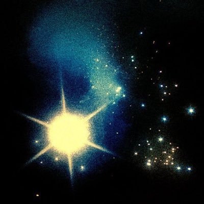 ki_ko_0o's profile picture. 