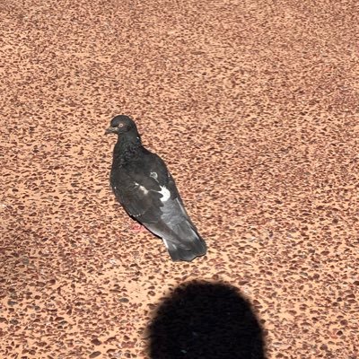 sou826185710's profile picture. 