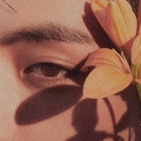 ⋆ (@tetispam) 's Twitter Profile Photo ⋆ (@tetispam) 's Twitter Profile Photo