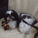 Bella Benson - @benson_bella - Twitter