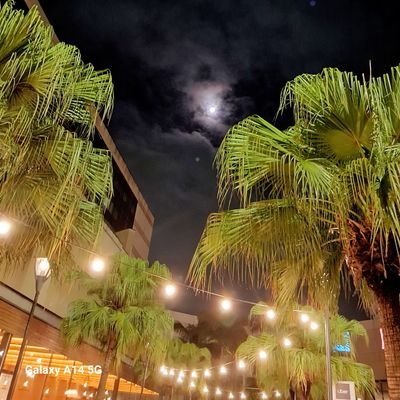 Maysascf's profile picture. 