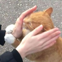 ترف العتيبي (@ttyby82694) Twitter profile photo