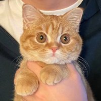 えだまめ (@edamame1205o) 's Twitter Profile Photo