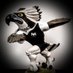 Ospreys Supporters (@OspreysSC) Twitter profile photo