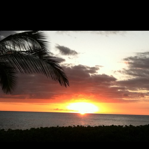 mobettahea's profile picture. mobettahea.. lifestyle brand clothing