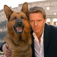 👑LORENZO👑 (@lorenzo552535) 's Twitter Profile