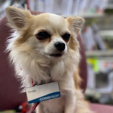 Porty Library = Feeling less Summery! 🌞🥰さんのプロフィール画像