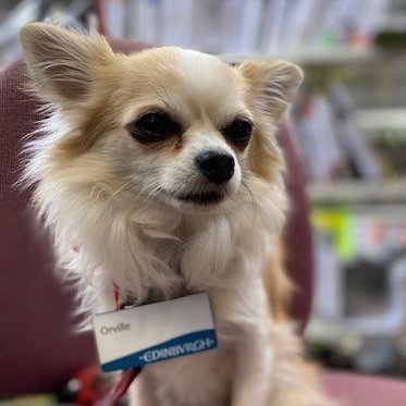 We're only the best bloomin' Library in the entire North-East of Edinburgh, most certainly in the entirety of Porty, possibly the WHOLE GOSH-DARN WORLD, PEOPLE!