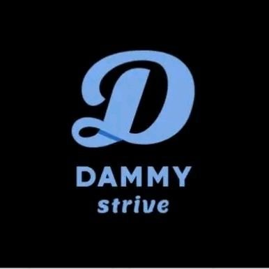 At Dammy Strive, dreamers and doers unite to turn small actions into significant change, blending diverse talents for cohesive creativity.