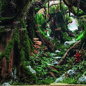 Drphuong01's profile picture. Bình thường