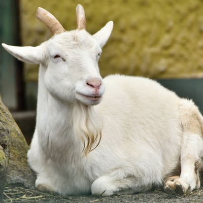 garan_no_dou_'s profile picture. 趣味はテニス観戦、自転車、ゲーム
BIG3の壁を打ち破れる若手よ、出てこい