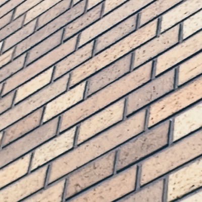 熊屋さんのプロフィール画像
