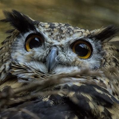 owl_lita's profile picture. Ｈi, I'm Lita♡ Like a record of various experiences felt within each day.  
May you find happiness in the myriad cherishable moments of everyday life.  Not my📷