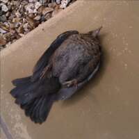 JPHPreston's profile picture. 